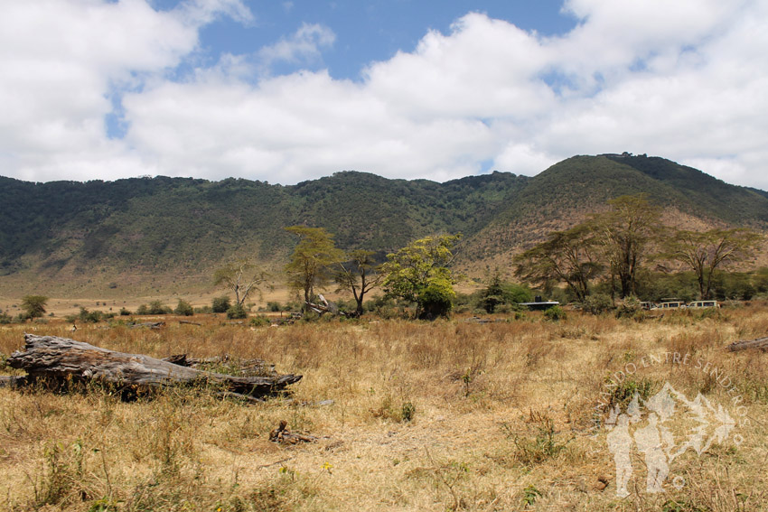 Ngorongoro (Tanzania)