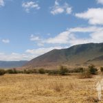 Ngorongoro (Tanzania)