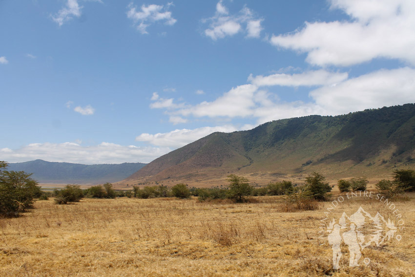 Ngorongoro (Tanzania)