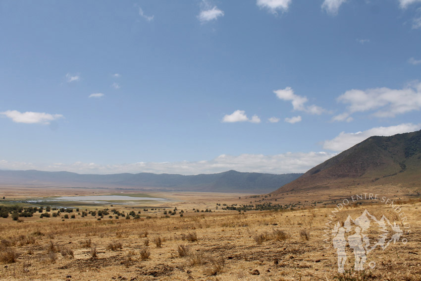 Ngorongoro (Tanzania)