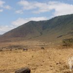 Ngorongoro (Tanzania)