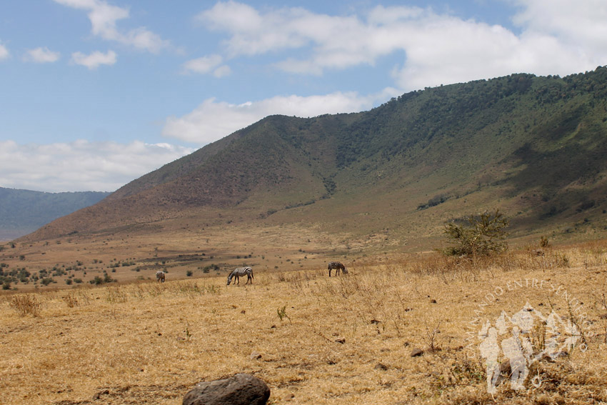 Ngorongoro (Tanzania)