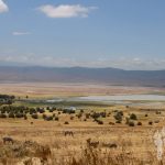Ngorongoro (Tanzania)