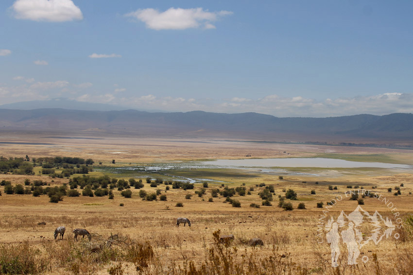 Ngorongoro (Tanzania)