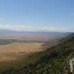 Ngorongoro (Tanzania)