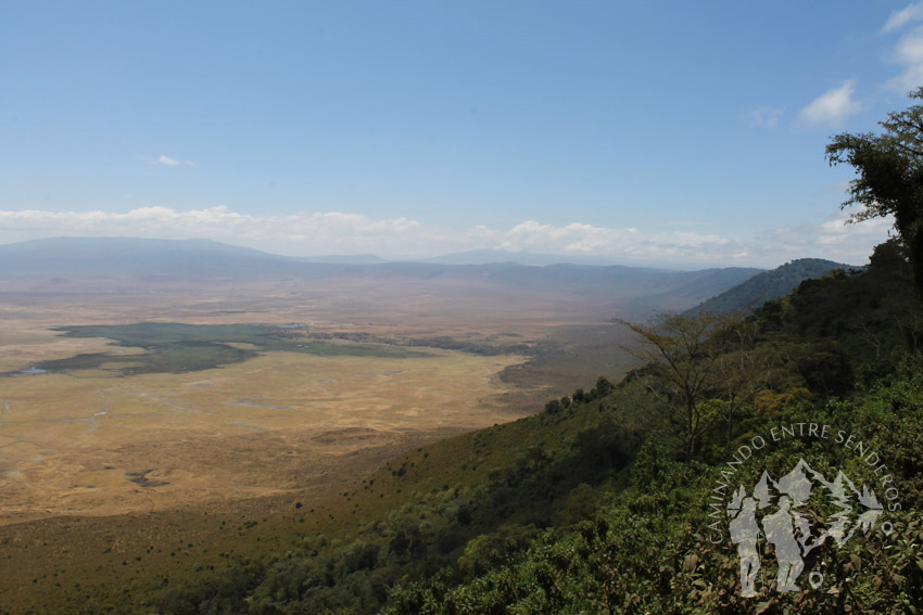 Ngorongoro (Tanzania)