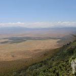 Ngorongoro (Tanzania)