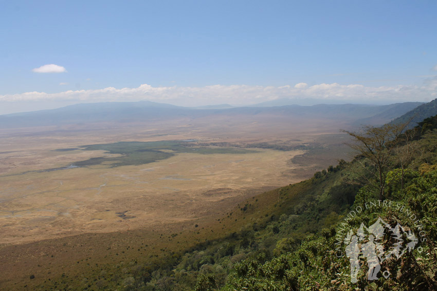 Ngorongoro (Tanzania)