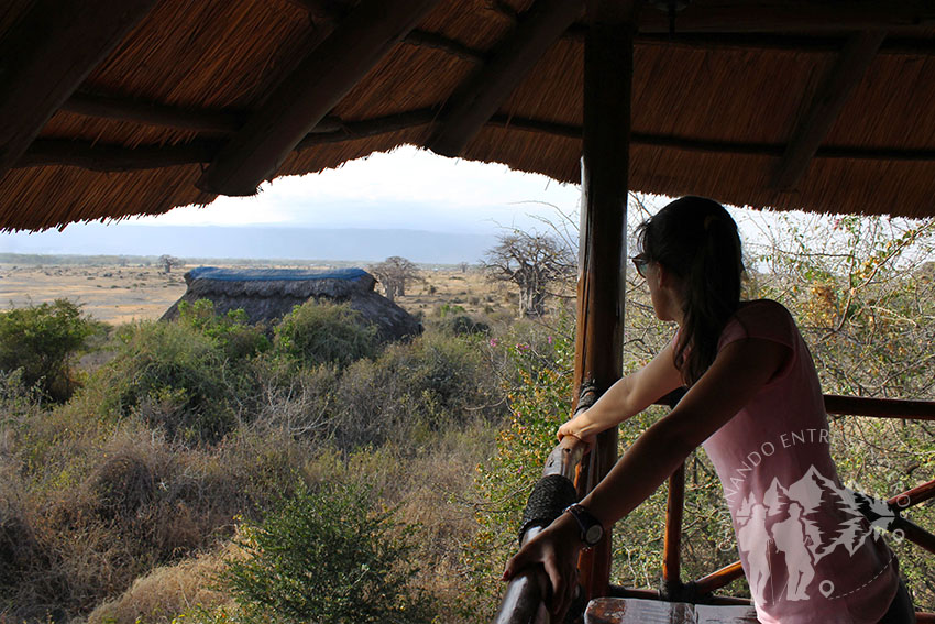 Manyara Wildlife Camp
