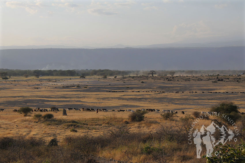 Panorámica lago Manyara (Tanzania)