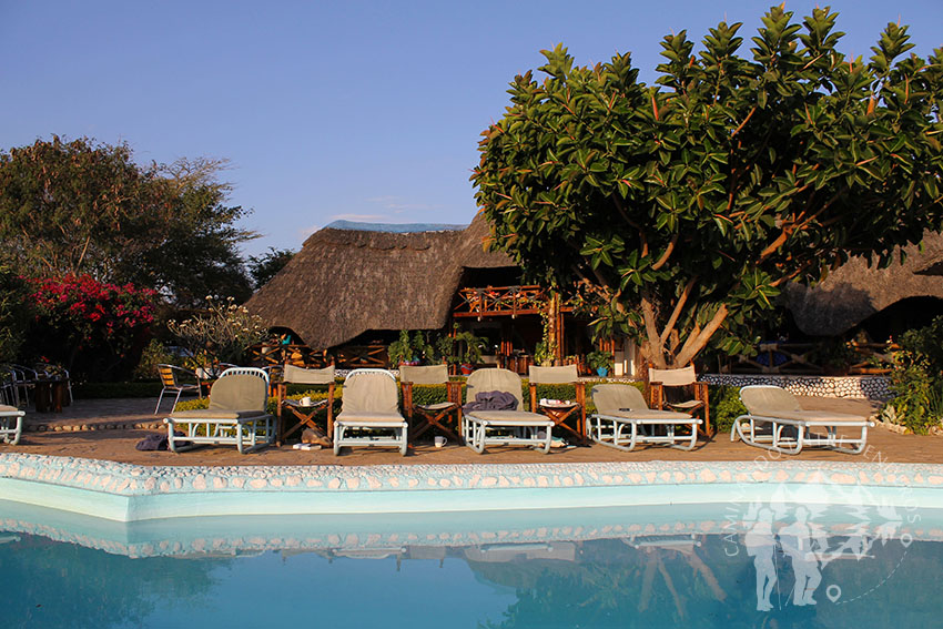 Manyara Wildlife Camp