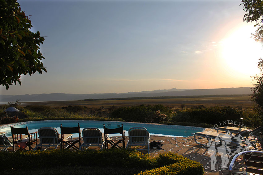 Manyara Wildlife Camp