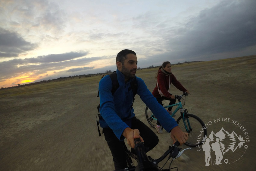 Safari en bici (Lago Manyara)