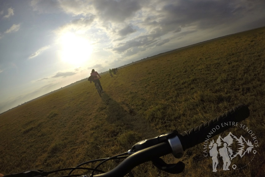 Safari en bici (Lago Manyara)