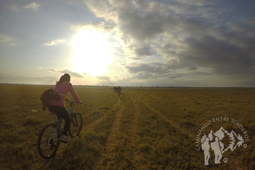Safari en bici (Lago Manyara)