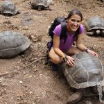 Tortugas terrestres (Prison Island)