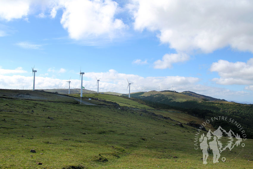 Parque eólicos