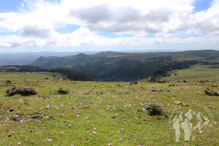 Xeoruta do Cromo (Cedeira)
