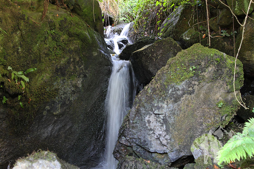 Pequeña cascada