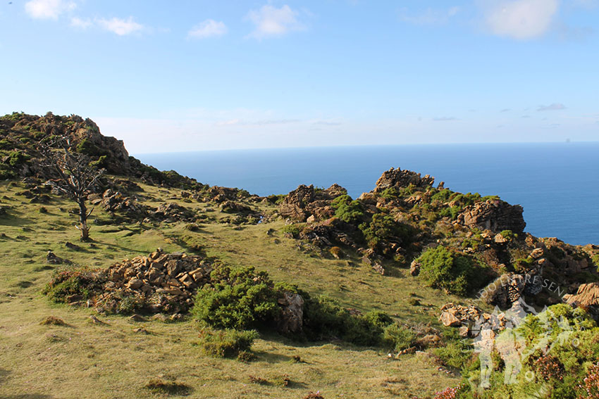 Bosque Petrificado de San Andrés de Teixido