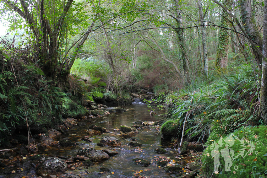 Río dos Campos