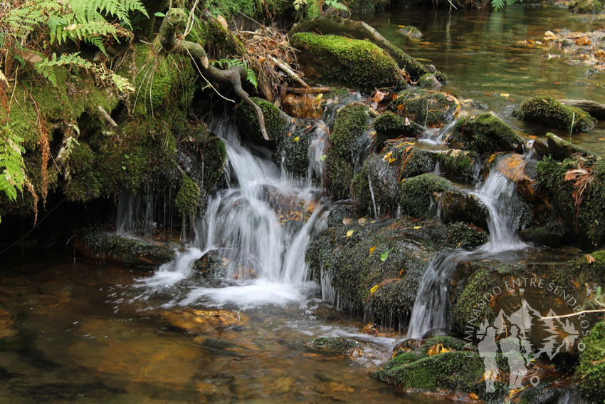 Río dos Campos