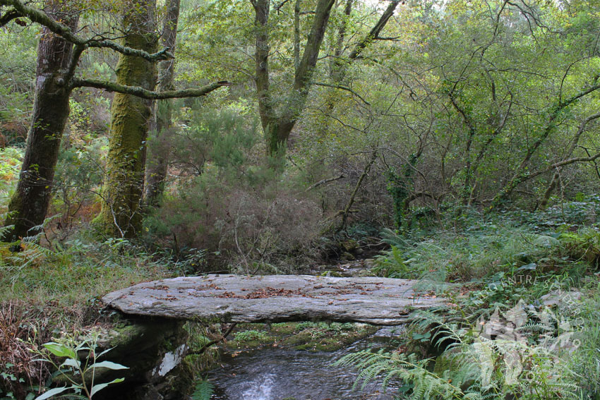 Puente de piedra