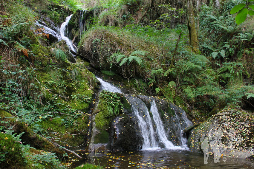 Fervenza 1 (río dos Campos)