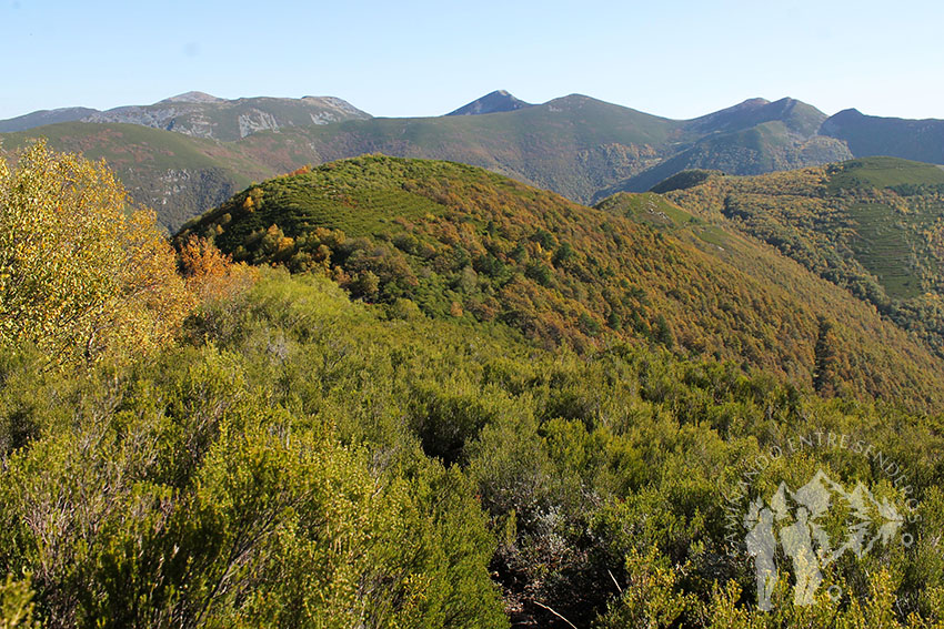 Pico Fieiró