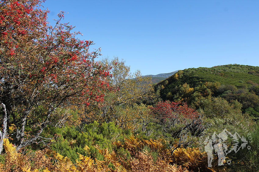 Reserva de la biosfera de Os Ancares Lucenses