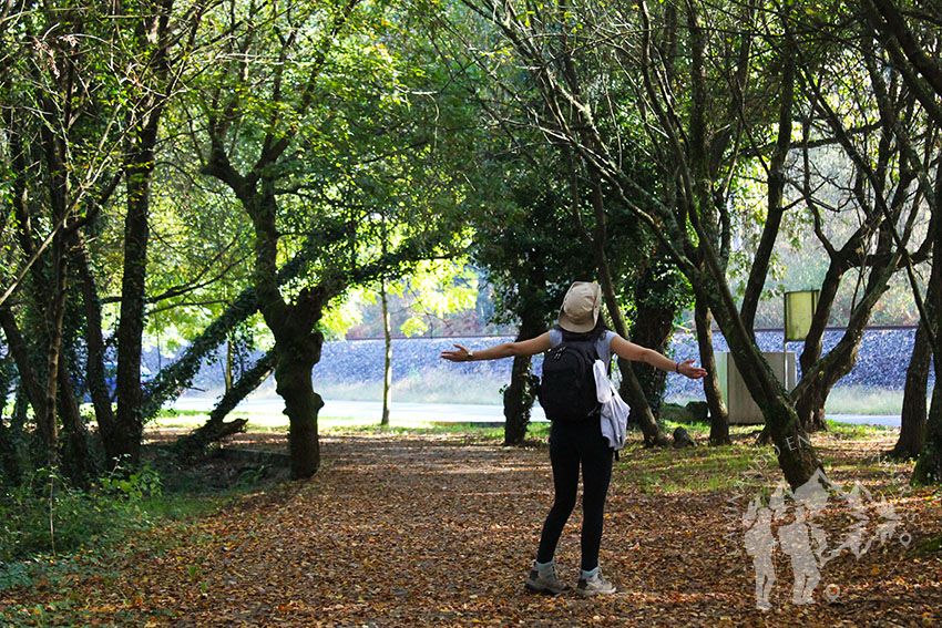 Paseo peatonal As Telleiras