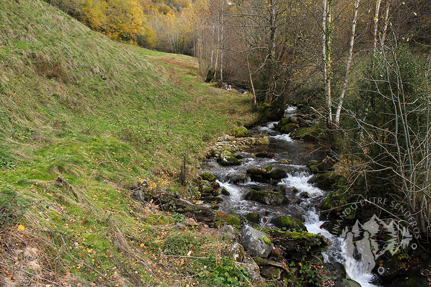 Río Ortigal