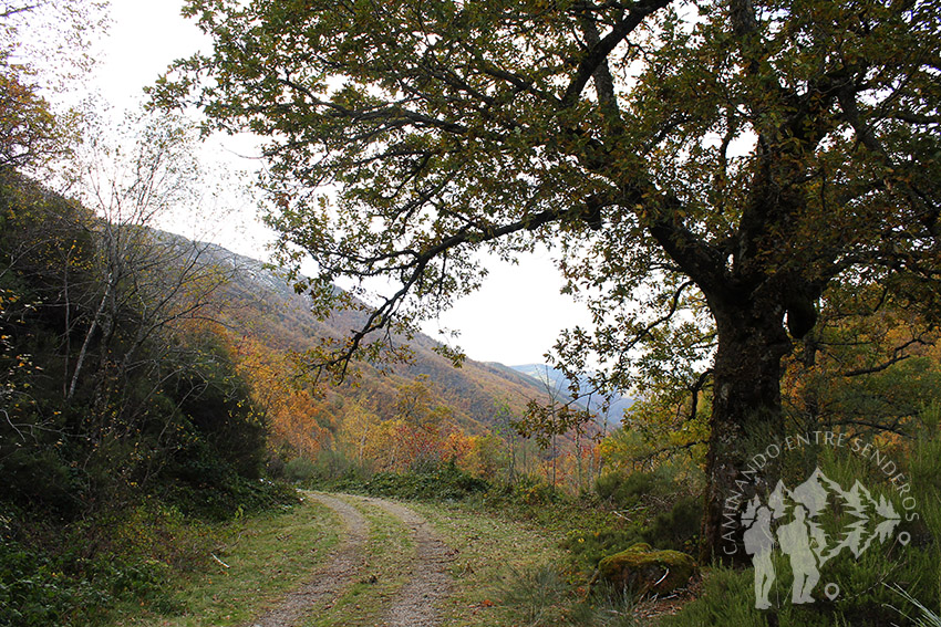 Ruta Tres Bispos (Cervantes)