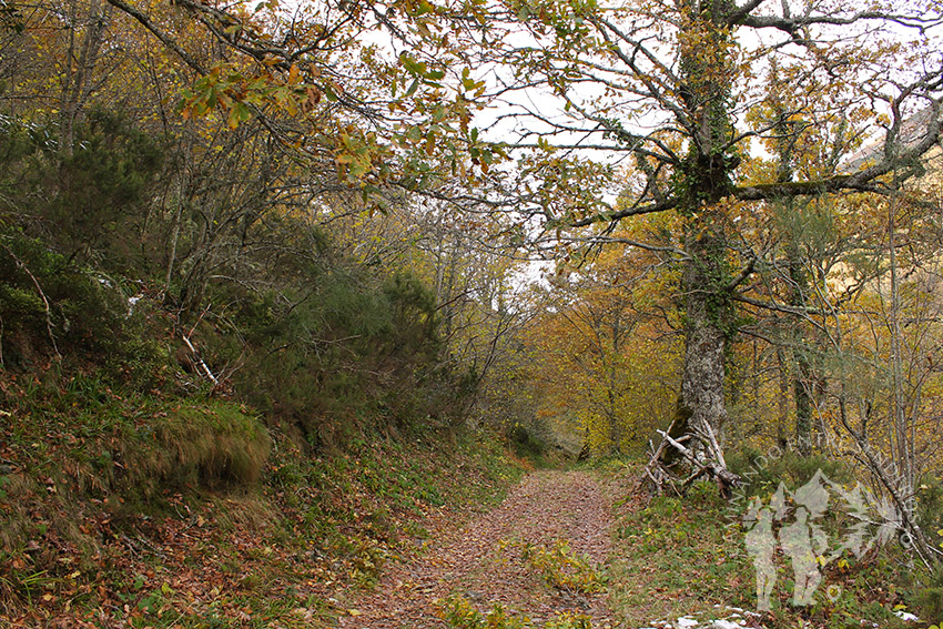 Ruta Tres Bispos (Cervantes)