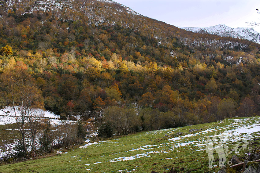 Ruta Tres Bispos (Cervantes)