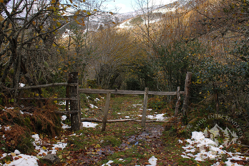 Ruta Tres Bispos (Cervantes)