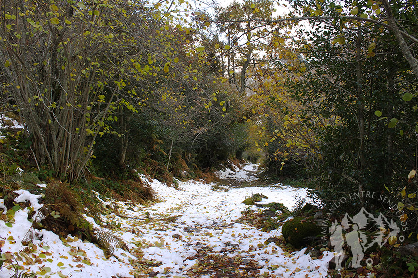 Ruta Tres Bispos (Cervantes)