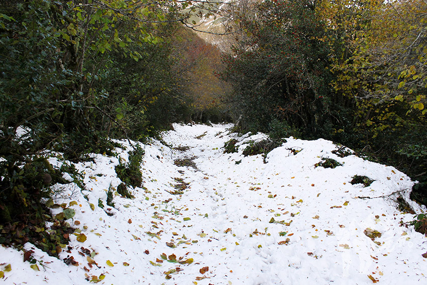 Ruta Tres Bispos (Cervantes)