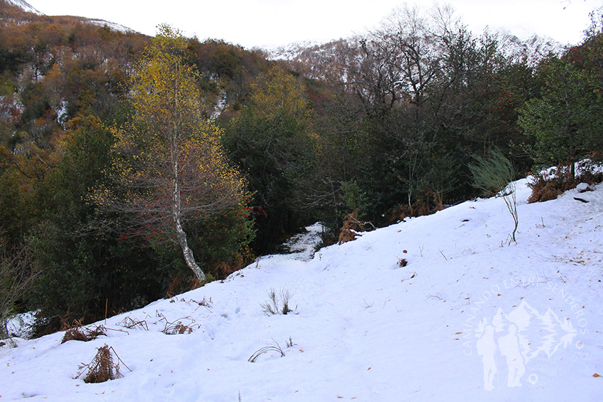 Ruta Tres Bispos (Cervantes)