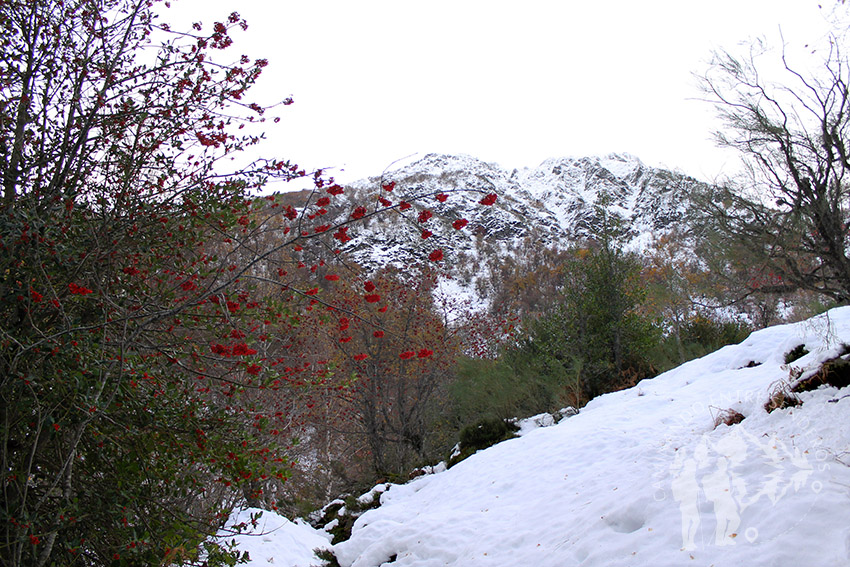 Ruta Tres Bispos (Cervantes)