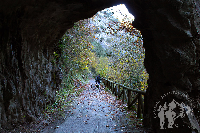 Túnel Senda del Oso (Teverga)