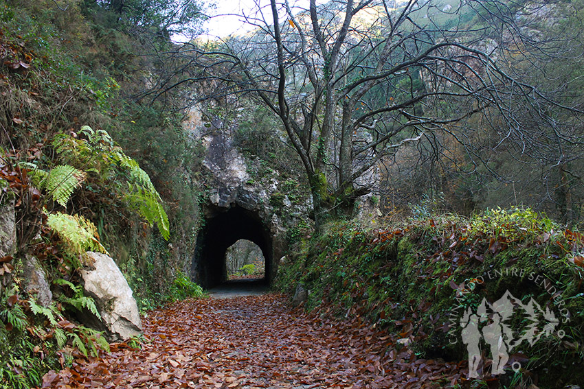 Túnel Senda del Oso (Teverga)