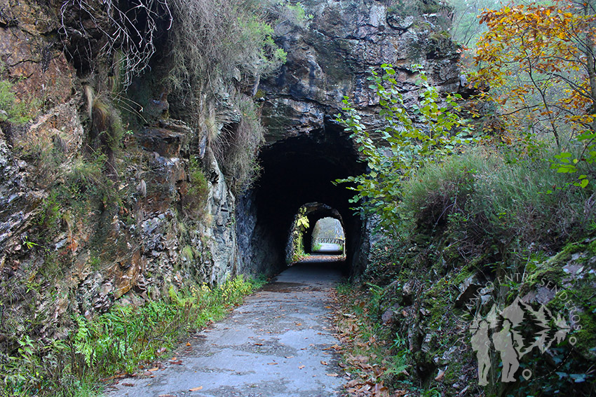 Túnel Senda del Oso (Teverga)