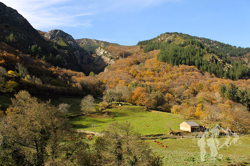 Senda del Oso (Teverga)