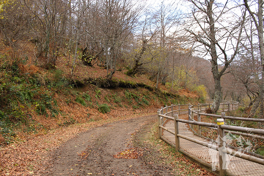 Pasarela adaptada