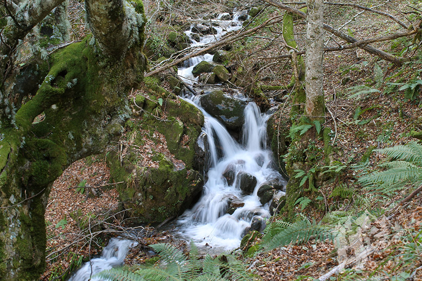 río Fundil