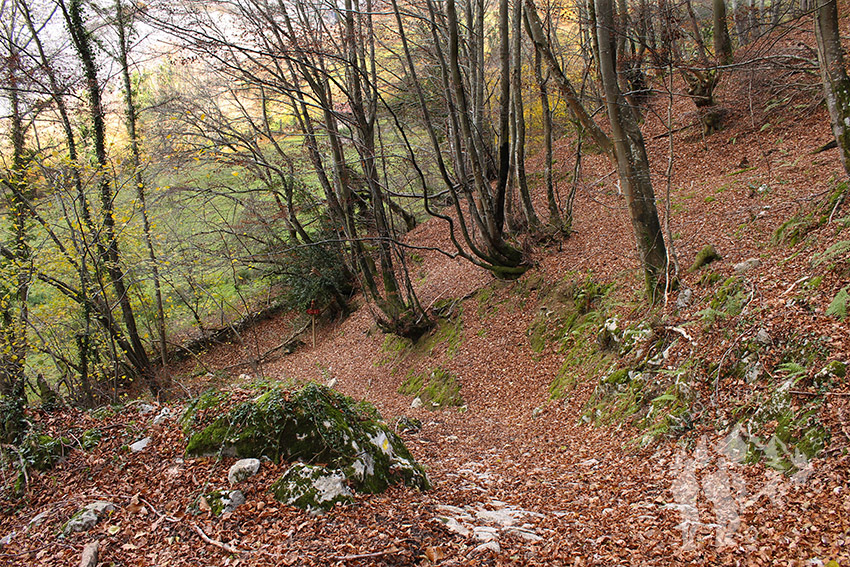 Camino Natural de la Senda del Oso