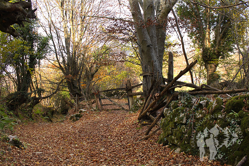 Camino Natural de la Senda del Oso