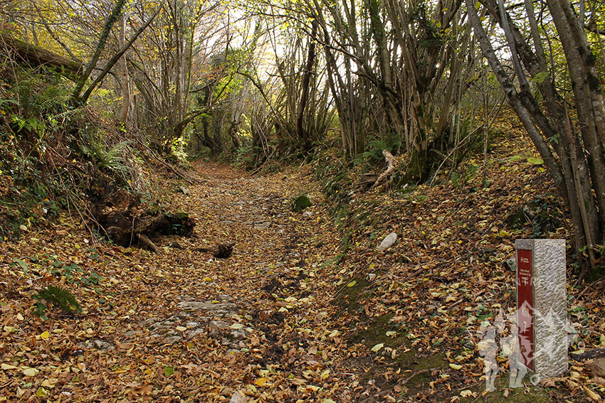 Camino Natural de la Senda del Oso