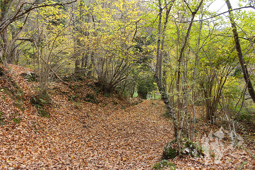 Camino Natural de la Senda del Oso